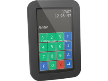 JAN REGIS H-1-B